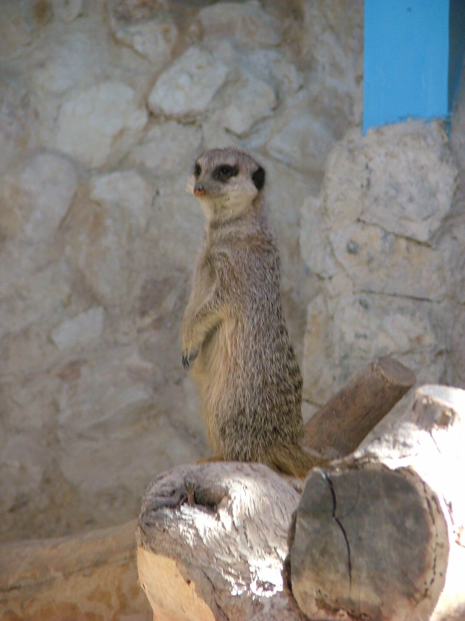 חוות האנטילופות